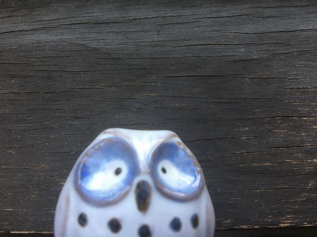 財布に入れておくと良いもの７選 金運アップ最強アイテムは何